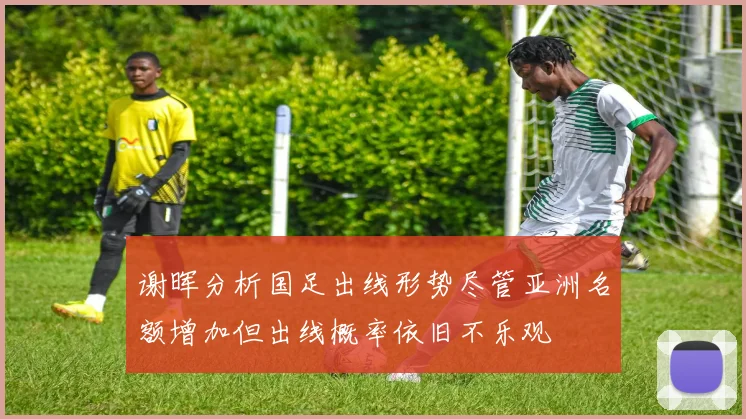 谢晖分析国足出线形势尽管亚洲名额增加但出线概率依旧不乐观