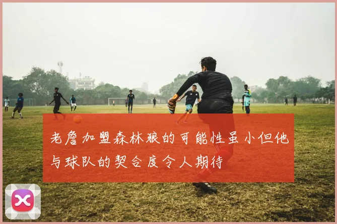 老詹加盟森林狼的可能性虽小但他与球队的契合度令人期待