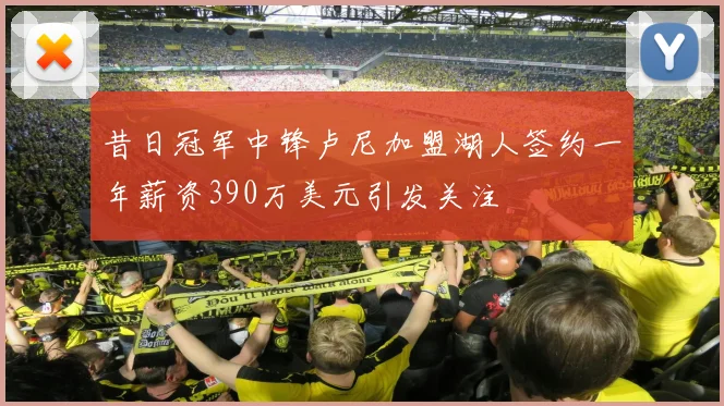 昔日冠军中锋卢尼加盟湖人签约一年薪资390万美元引发关注