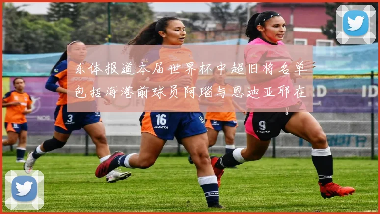 东体报道本届世界杯中超旧将名单包括海港前球员阿瑙与恩迪亚耶在内的10位球员