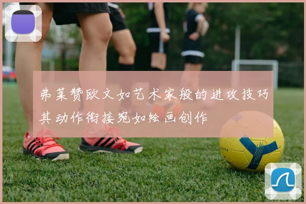 弗莱赞欧文如艺术家般的进攻技巧其动作衔接宛如绘画创作